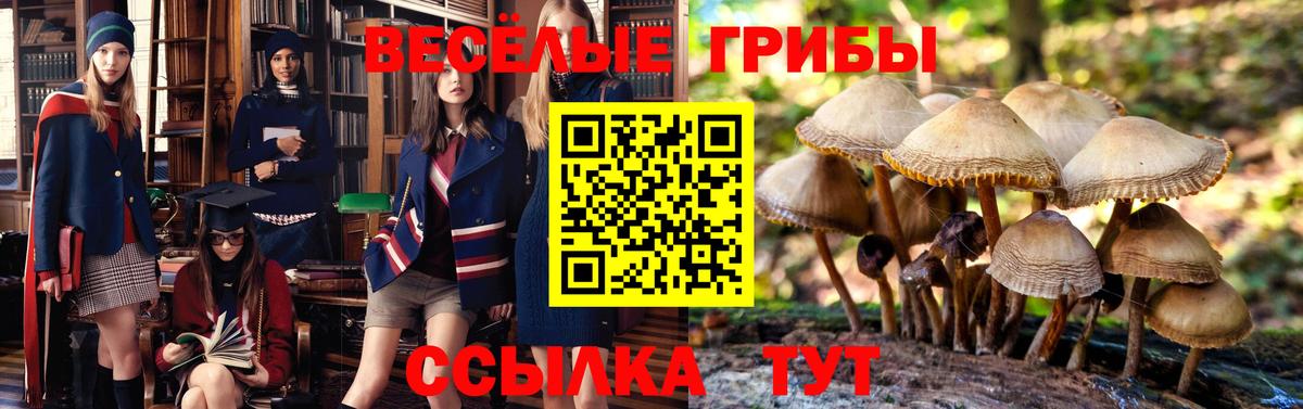 Красноармейск  купить  цена  Вход с VPN  Галлюциногенные грибы GOLDEN TEACHER 