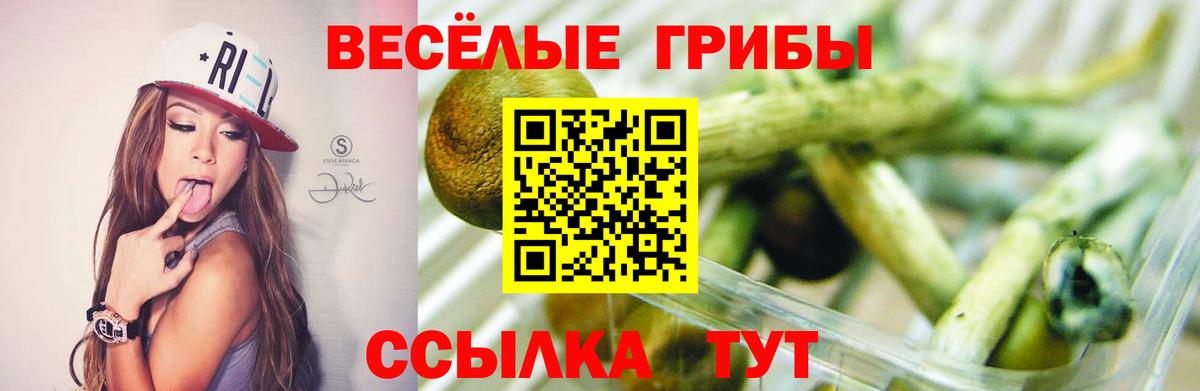 Галлюциногенные грибы ЛСД Красноармейск